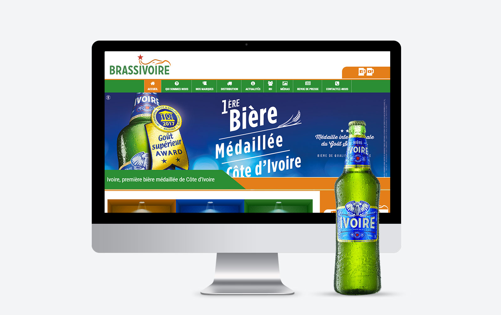 Brassivoire Ivoire